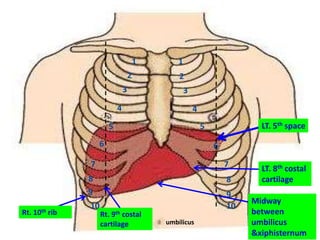 Rt. 9th costal
cartilage
LT. 5th space
11
2 2
33
4 4
5 5
6
77
6
9
8
10
8
9
10
LT. 8th costal
cartilage
Midway
between
umbilicus
&xiphisternum
umbilicus
Rt. 10th rib
 