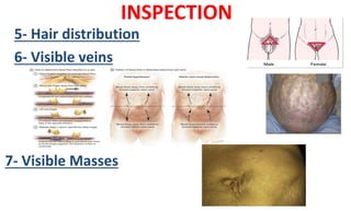 INSPECTION
5- Hair distribution
6- Visible veins
7- Visible Masses
 
