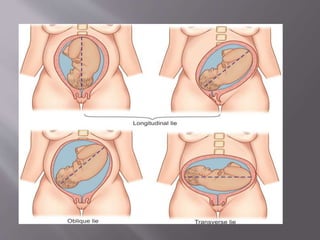 Abdominal examination