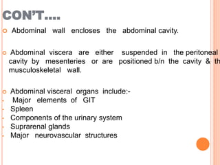 CON’T….
 Abdominal wall encloses the abdominal cavity.
 Abdominal viscera are either suspended in the peritoneal
cavity by mesenteries or are positioned b/n the cavity & th
musculoskeletal wall.
 Abdominal visceral organs include:-
• Major elements of GIT
• Spleen
• Components of the urinary system
• Suprarenal glands
• Major neurovascular structures
 
