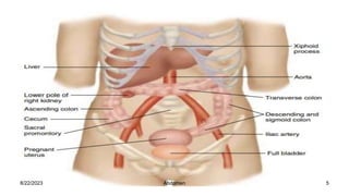 8/22/2023 5
Abdomen
 