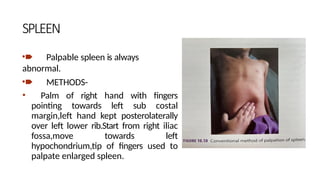 Abdominal examination. Clinical medicine | PPTX