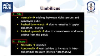 Umbilicus
 
