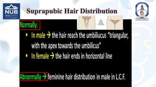 Suprapubic Hair Distribution
 