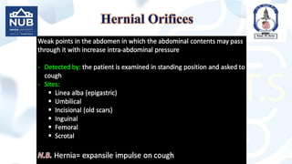 Hernial Orifices
 