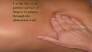 Use the flat of the
palmar surface of
fingers to palpate
through the
abdominal wall
 