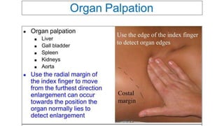 ABDOMINAL EXAMINATION Presentation[1].pptx