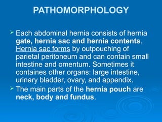 PATHOMORPHOLOGY
 Each abdominal hernia consists of hernia
gate, hernia sac and hernia contents.
Hernia sac forms by outpouching of
parietal peritoneum and can contain small
intestine and omentum. Sometimes it
containes other organs: large intestine,
urinary bladder, ovary, and appendix.
 The main parts of the hernia pouch are
neck, body and fundus.
 