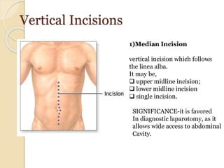 Midline Incision Anatomy
