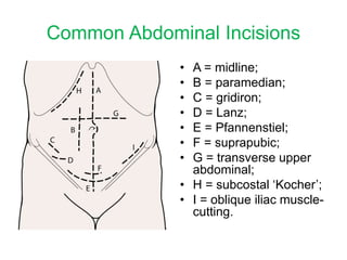Simple Flank Incision Left Subcostal Incision