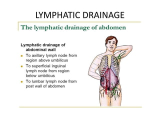 LYMPHATIC DRAINAGE
 