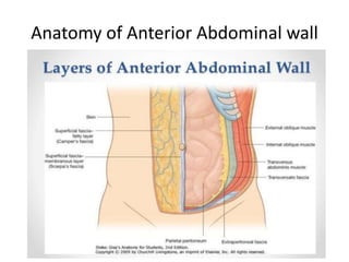 Anatomy of Anterior Abdominal wall
 