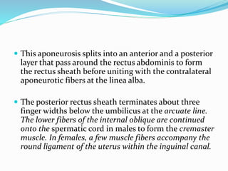 abdominal incisions.pptx