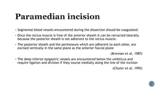  Segmental blood vessels encountered during the dissection should be coagulated.
 Once the rectus muscle is free of the anterior sheath it can be retracted laterally
because the posterior sheath is not adherent to the rectus muscle.
 The posterior sheath and the peritoneum which are adherent to each other, are
excised vertically in the same plane as the anterior fascial plane
(Brennan et al, 1987)
 The deep inferior epigastric vessels are encountered below the umbilicus and
require ligation and division if they course medially along the line of the incision
(Chuter et al, 1992)
 