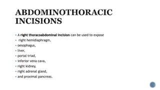  A right thoracoabdominal incision can be used to expose
 right hemidiaphragm,
 oesophagus,
 liver,
 portal triad,
 inferior vena cava,
 right kidney,
 right adrenal gland,
 and proximal pancreas.
 