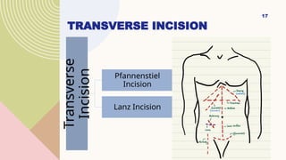 Abdominal incisions ppt with management and assessment | PPTX