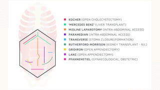 Abdominal incisions ppt with management and assessment | PPTX