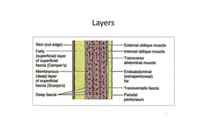 ABDOMINAL INCISIONS AND LAPAROTOMY-1.pptx