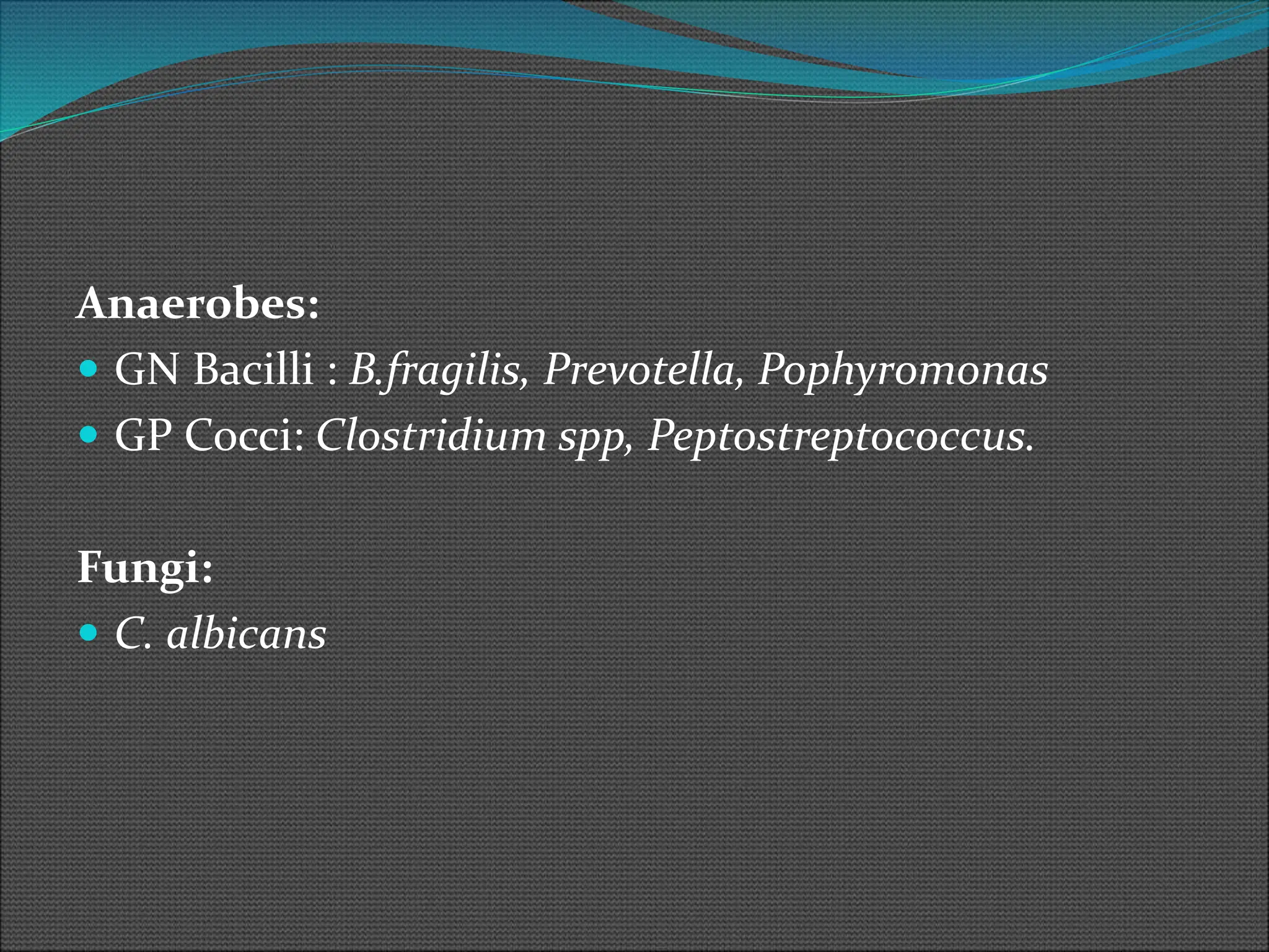 Anaerobes:
 GN Bacilli : B.fragilis, Prevotella, Pophyromonas
 GP Cocci: Clostridium spp, Peptostreptococcus.
Fungi:
 C. albicans
 