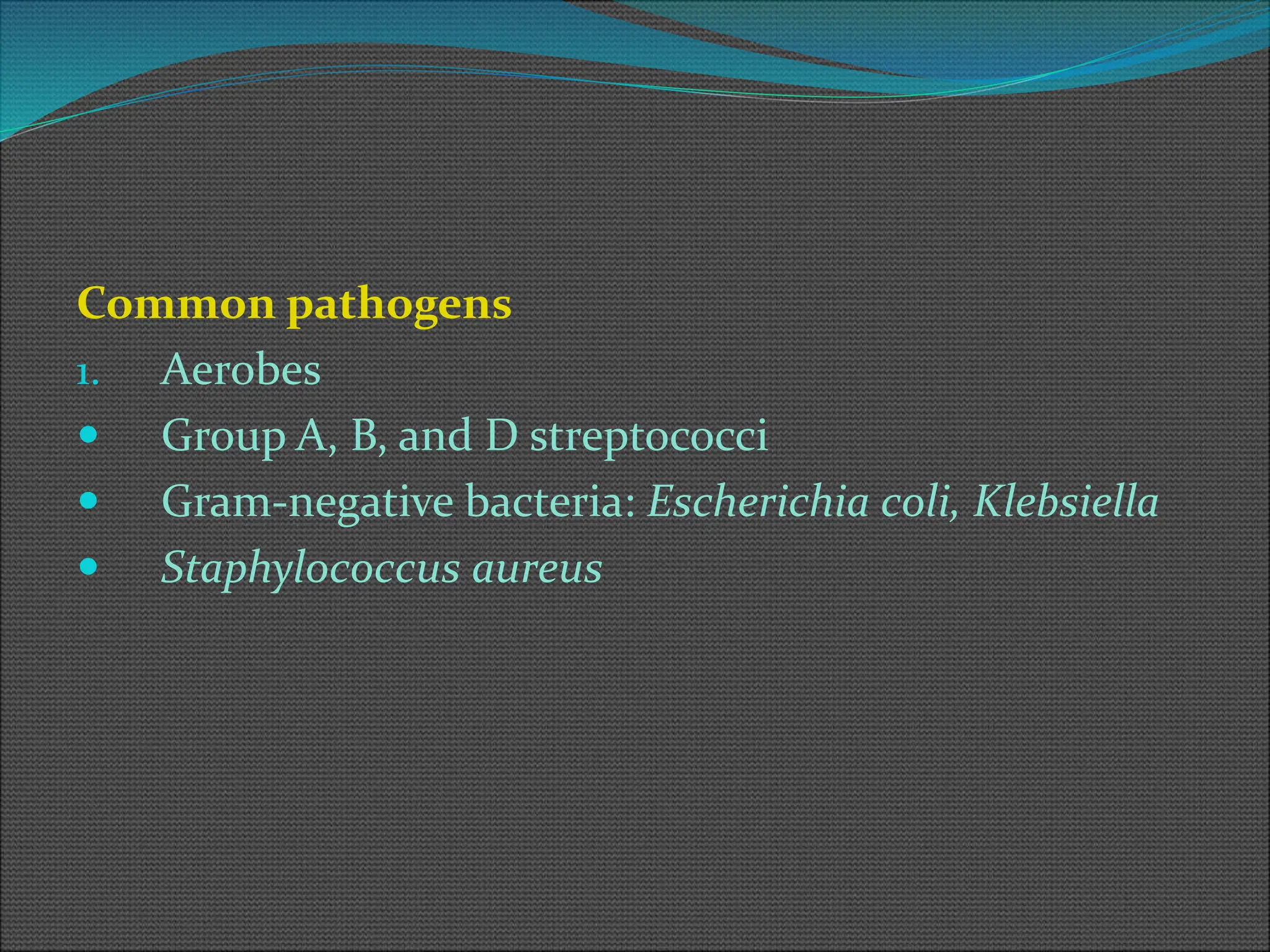 Common pathogens
1. Aerobes
 Group A, B, and D streptococci
 Gram-negative bacteria: Escherichia coli, Klebsiella
 Staphylococcus aureus
 
