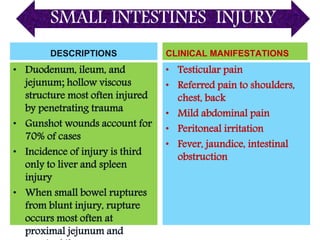 SMALL INTESTINES INJURY
DESCRIPTIONS
• Duodenum, ileum, and
jejunum; hollow viscous
structure most often injured
by penetrating trauma
• Gunshot wounds account for
70% of cases
• Incidence of injury is third
only to liver and spleen
injury
• When small bowel ruptures
from blunt injury, rupture
occurs most often at
proximal jejunum and
CLINICAL MANIFESTATIONS
• Testicular pain
• Referred pain to shoulders,
chest, back
• Mild abdominal pain
• Peritoneal irritation
• Fever, jaundice, intestinal
obstruction
 