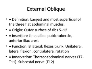 Abdominal_Muscles and its functions1.pptx