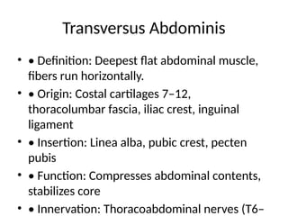 Abdominal_Muscles and its functions1.pptx