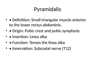 Abdominal_Muscles and its functions1.pptx