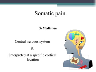Somatic pain
3- Mediation

Central nervous system
&
Interpreted at a specific cortical
location

 