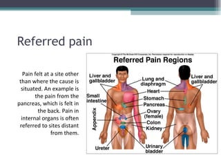 Referred pain
Pain felt at a site other
than where the cause is
situated. An example is
the pain from the
pancreas, which is felt in
the back. Pain in
internal organs is often
referred to sites distant
from them.

 