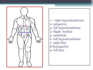 1 2 3
4 5 6
7 8 9

1 – right hypochondrium
2- epigastric
3- left hypochondrium
4- Right lumbar
5- umbilical
6- left hypochondrium
7- right iliac
8-hypogastric
9- left iliac

 