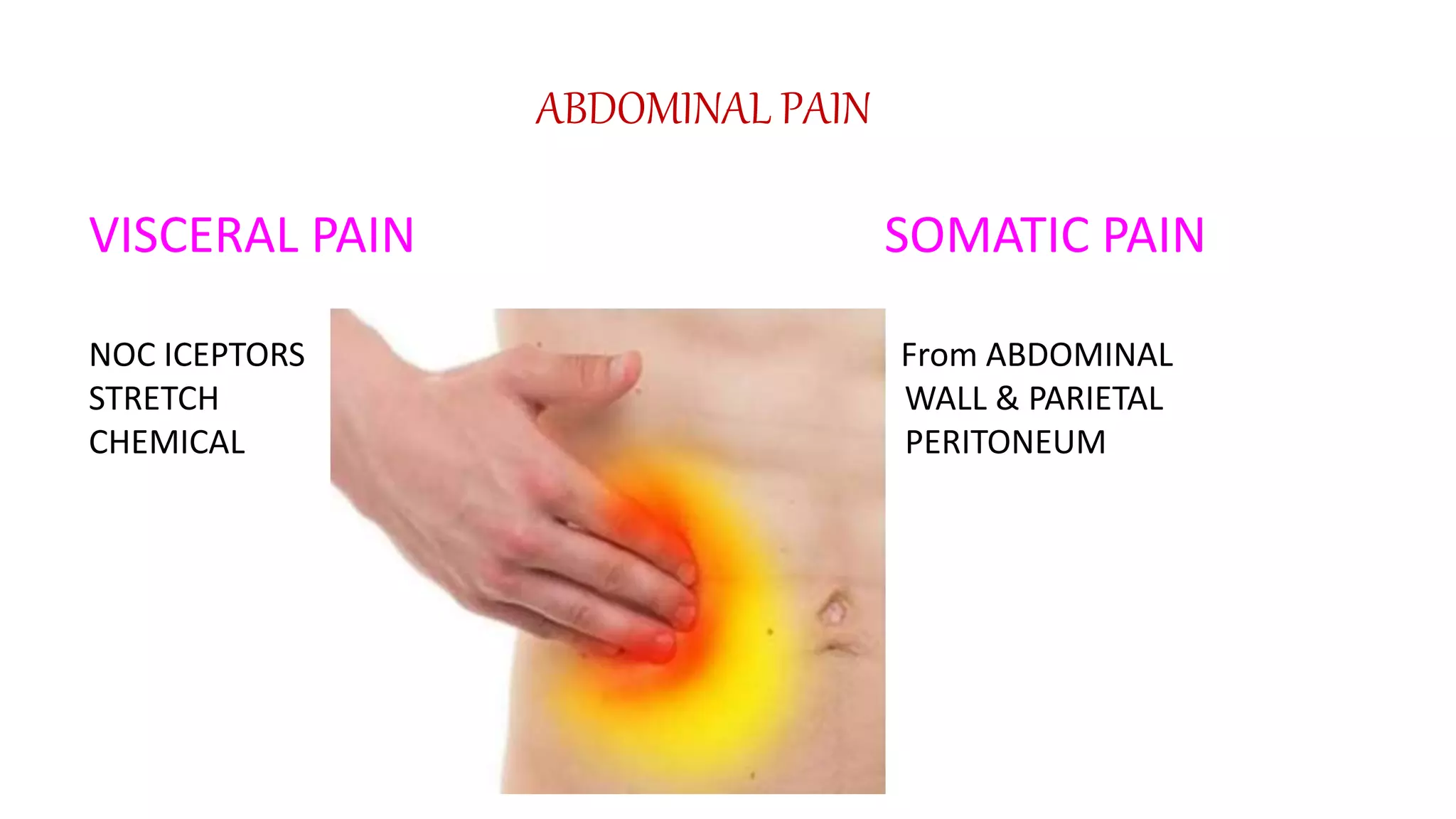 Abdominal pain - a brief study | PPTX