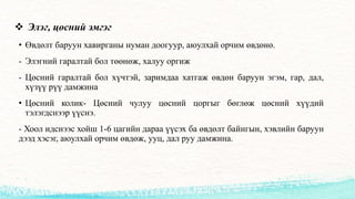 Хэвлийн өвдөлт | PPT