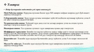 Хэвлийн өвдөлт | PPT