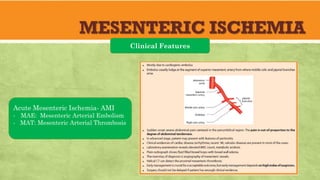 MESENTERIC ISCHEMIA
Clinical Features
Acute Mesenteric Ischemia- AMI
- MAE: Mesenteric Arterial Embolism
- MAT: Mesenteric Arterial Thrombosis
 
