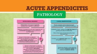 ACUTE APPENDICITIS
PATHOLOGY
 