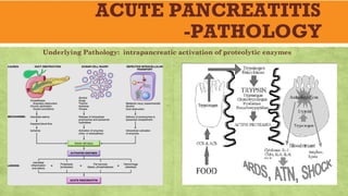 ACUTE PANCREATITIS
-PATHOLOGY
Underlying Pathology: intrapancreatic activation of proteolytic enzymes
 