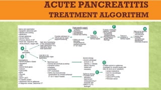 ACUTE PANCREATITIS
TREATMENT ALGORITHM
 