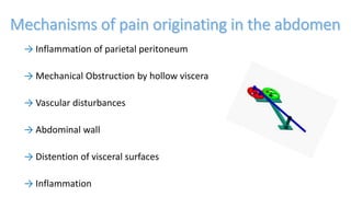 → Inflammation of parietal peritoneum
→ Mechanical Obstruction by hollow viscera
→ Vascular disturbances
→ Abdominal wall
→ Distention of visceral surfaces
→ Inflammation
 