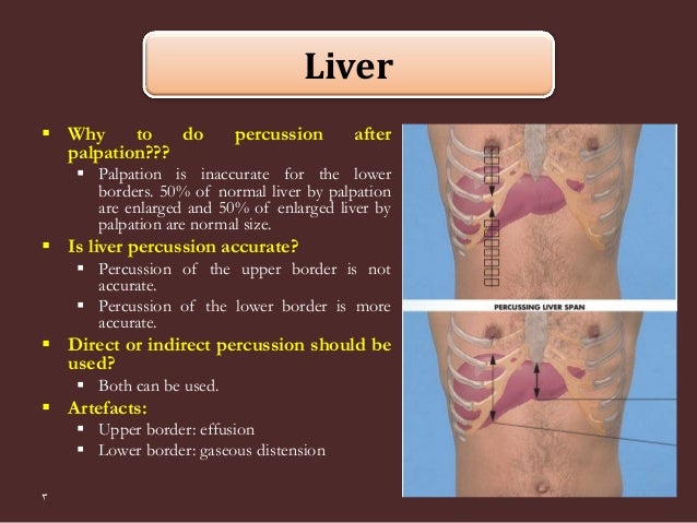 Abdominal percussion 2015 