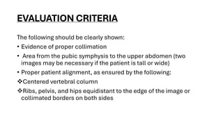 Comprehensive Guide to Abdominal Radiography Techniques and Evaluation ...