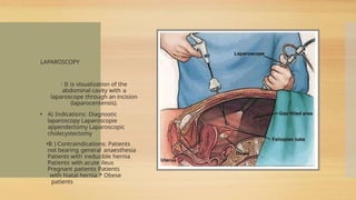 abdominal region.pptx2828838384848848488383 | PPTX