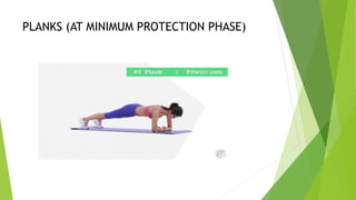 PLANKS (AT MINIMUM PROTECTION PHASE)
 