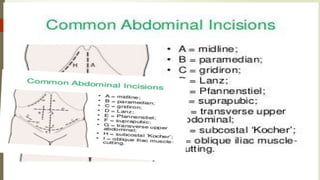 Abdominal Surgical Incissions ppt presentation.pptx
