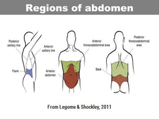 Regions of abdomen
 