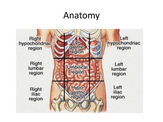 Anatomy
 