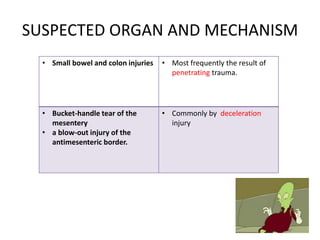 SUSPECTED ORGAN AND MECHANISM
• Small bowel and colon injuries • Most frequently the result of
penetrating trauma.
• Bucket-handle tear of the
mesentery
• a blow-out injury of the
antimesenteric border.
• Commonly by deceleration
injury
 