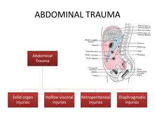 ABDOMINAL TRAUMA
Abdominal
Trauma
Solid organ
injuries
Hollow visceral
injuries
Retroperitoneal
injuries
Diaphragmatic
injuries
 