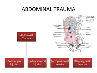 ABDOMINAL TRAUMA
Abdominal
Trauma
Solid organ
injuries
Hollow visceral
injuries
Retroperitoneal
injuries
Diaphragmatic
inj...