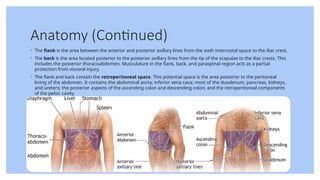 Abdominal Trauma.pptx mechanism of injury evaluation of specific injury ...